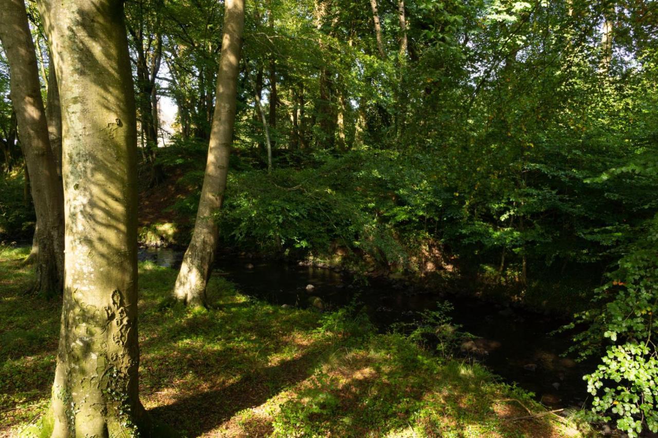 Millbrae Lodges Belfast Eksteriør bilde